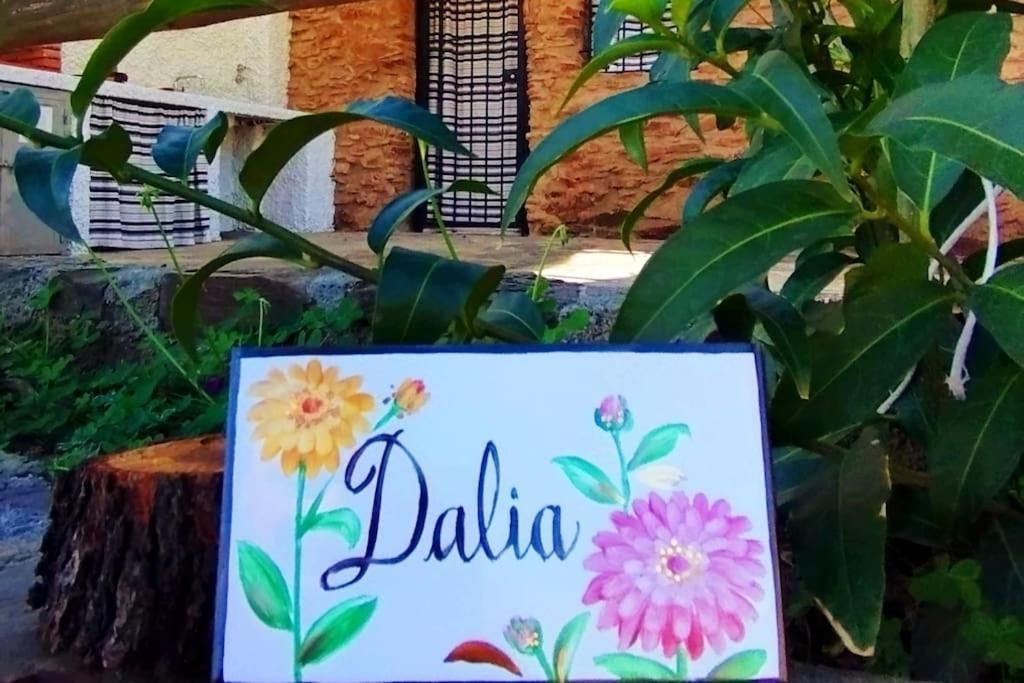 Paraje La Suerte Apartamento Dalia Adra Exterior photo